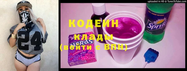 молекула духа Арсеньев