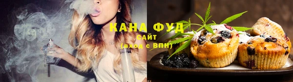 молекула духа Арсеньев