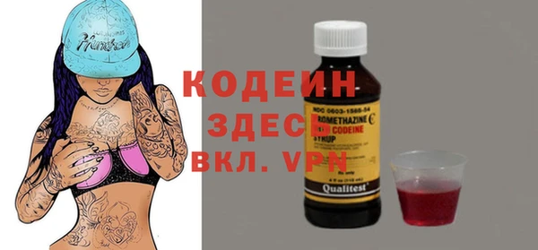 молекула духа Арсеньев