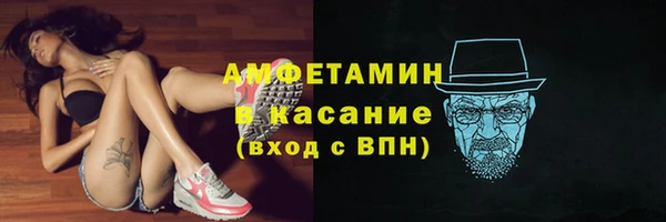 молекула духа Арсеньев