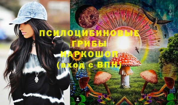 молекула духа Арсеньев