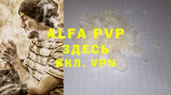 молекула духа Арсеньев