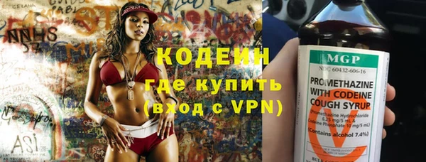 молекула духа Арсеньев
